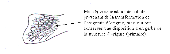 structure en gerbe