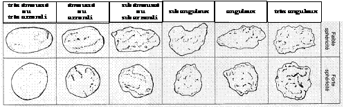Degr&eacute;s d'&eacute;mouss&eacute;